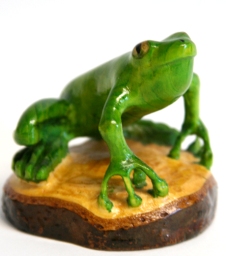 frog copy